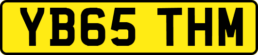 YB65THM