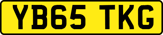 YB65TKG