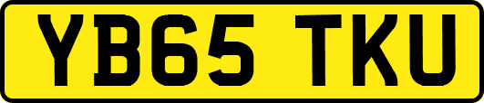 YB65TKU