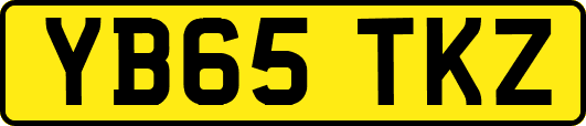 YB65TKZ