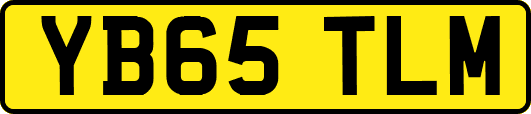 YB65TLM
