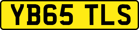 YB65TLS