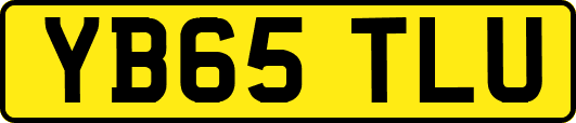 YB65TLU