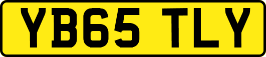 YB65TLY