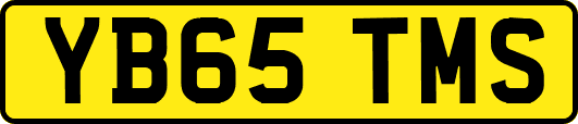 YB65TMS
