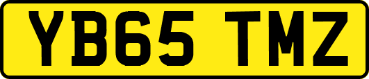 YB65TMZ
