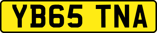 YB65TNA