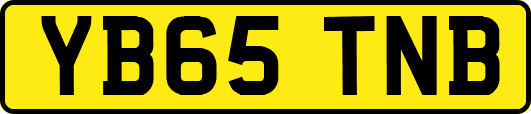 YB65TNB