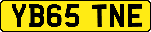 YB65TNE