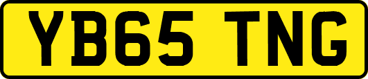 YB65TNG