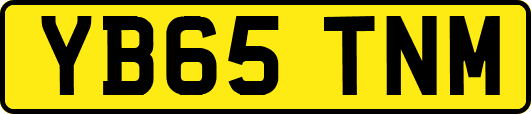 YB65TNM
