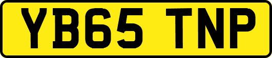 YB65TNP