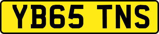 YB65TNS