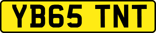 YB65TNT