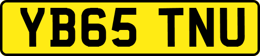 YB65TNU