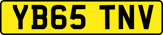 YB65TNV