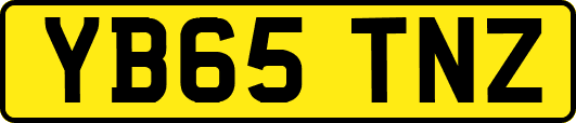 YB65TNZ