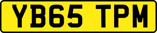 YB65TPM