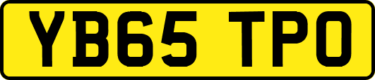 YB65TPO