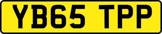 YB65TPP