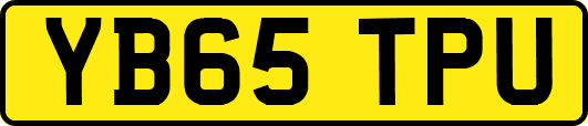 YB65TPU