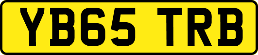 YB65TRB