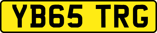 YB65TRG