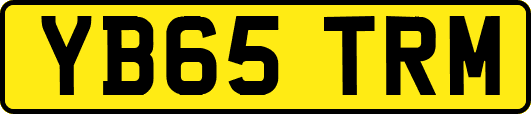 YB65TRM