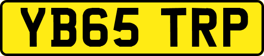 YB65TRP