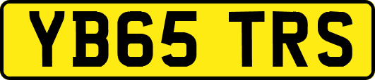 YB65TRS