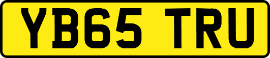 YB65TRU