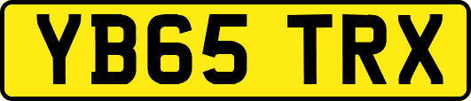 YB65TRX