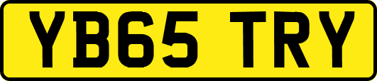 YB65TRY
