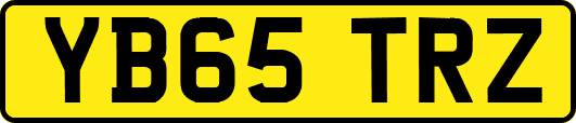 YB65TRZ