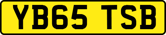 YB65TSB