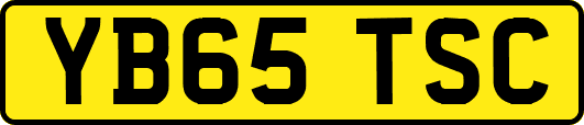YB65TSC
