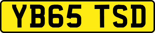 YB65TSD