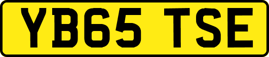 YB65TSE