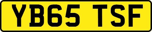 YB65TSF