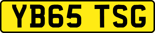 YB65TSG