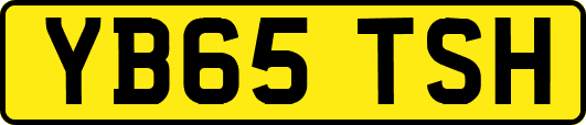 YB65TSH