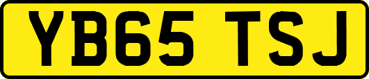YB65TSJ