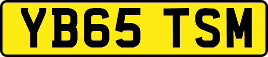 YB65TSM
