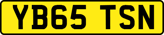 YB65TSN