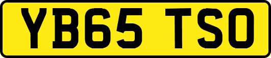 YB65TSO
