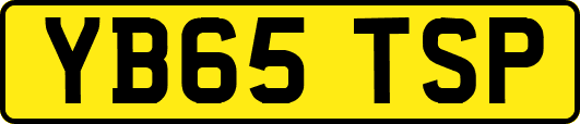 YB65TSP