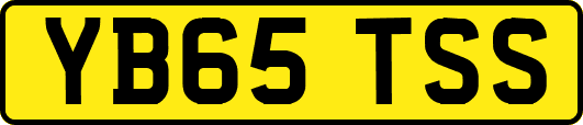 YB65TSS