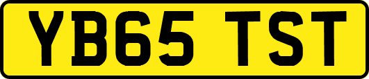YB65TST