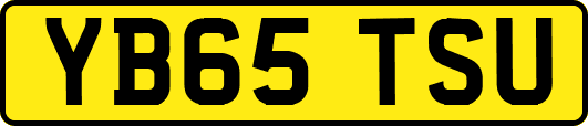 YB65TSU
