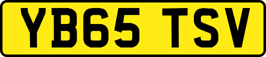 YB65TSV